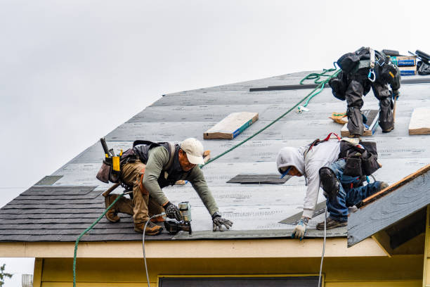 Professional Storm Damage Roof Repair technician working in Genoa, NY